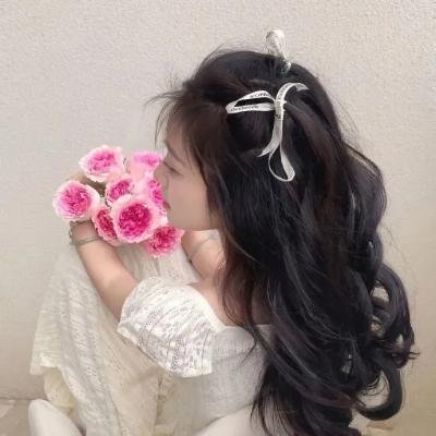女爵恩仇录2︰复仇之路